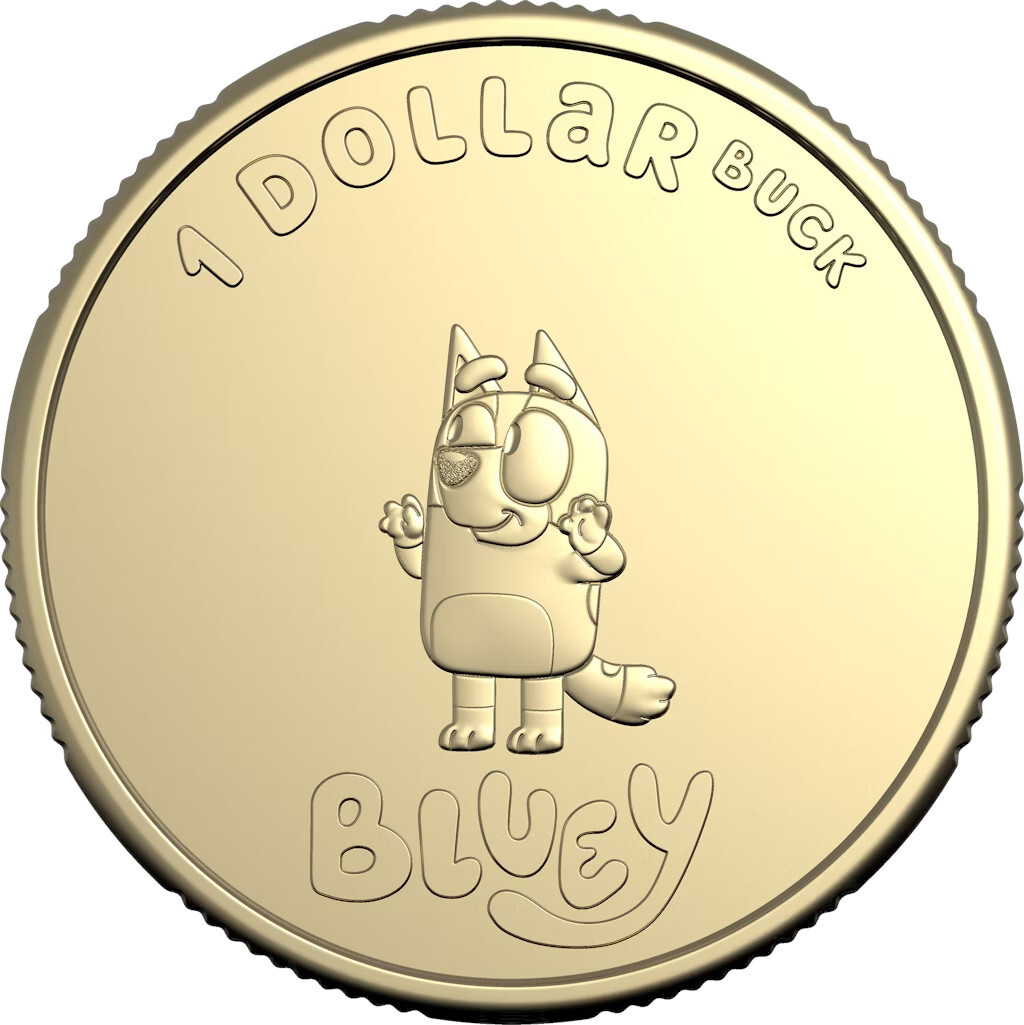 Bluey Coins