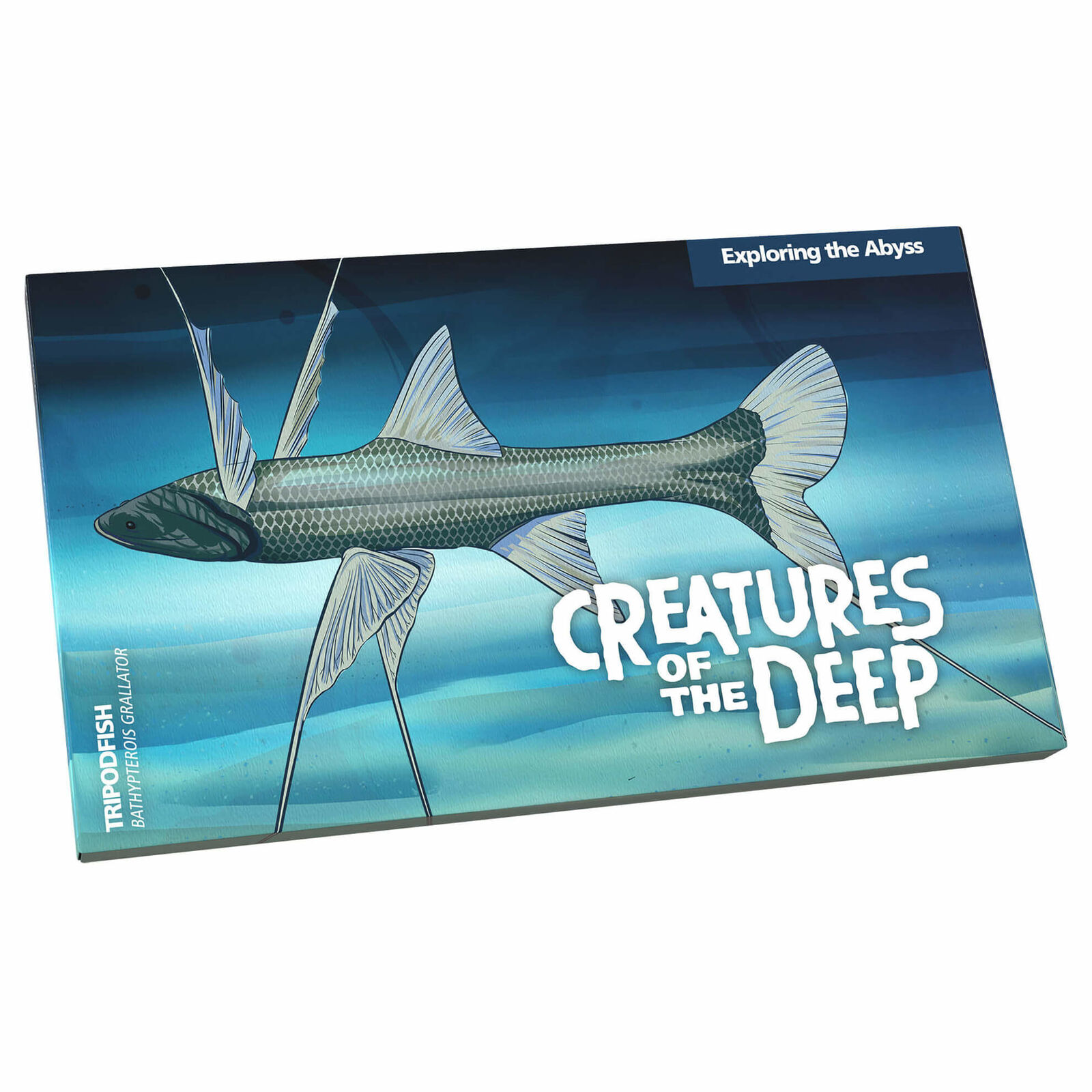 (NB) Creatures of the Deep - $1 Mintmark and Privy Mark Set collectable 4 coins