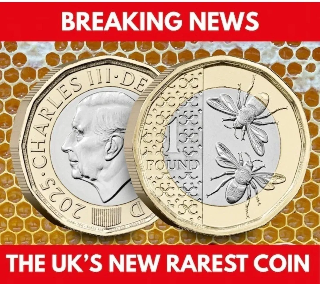 2025 £1 ONE POUND honeybee  RARE LOW MINTAGE KING CHARLES UNC BEES COIN FROM A S