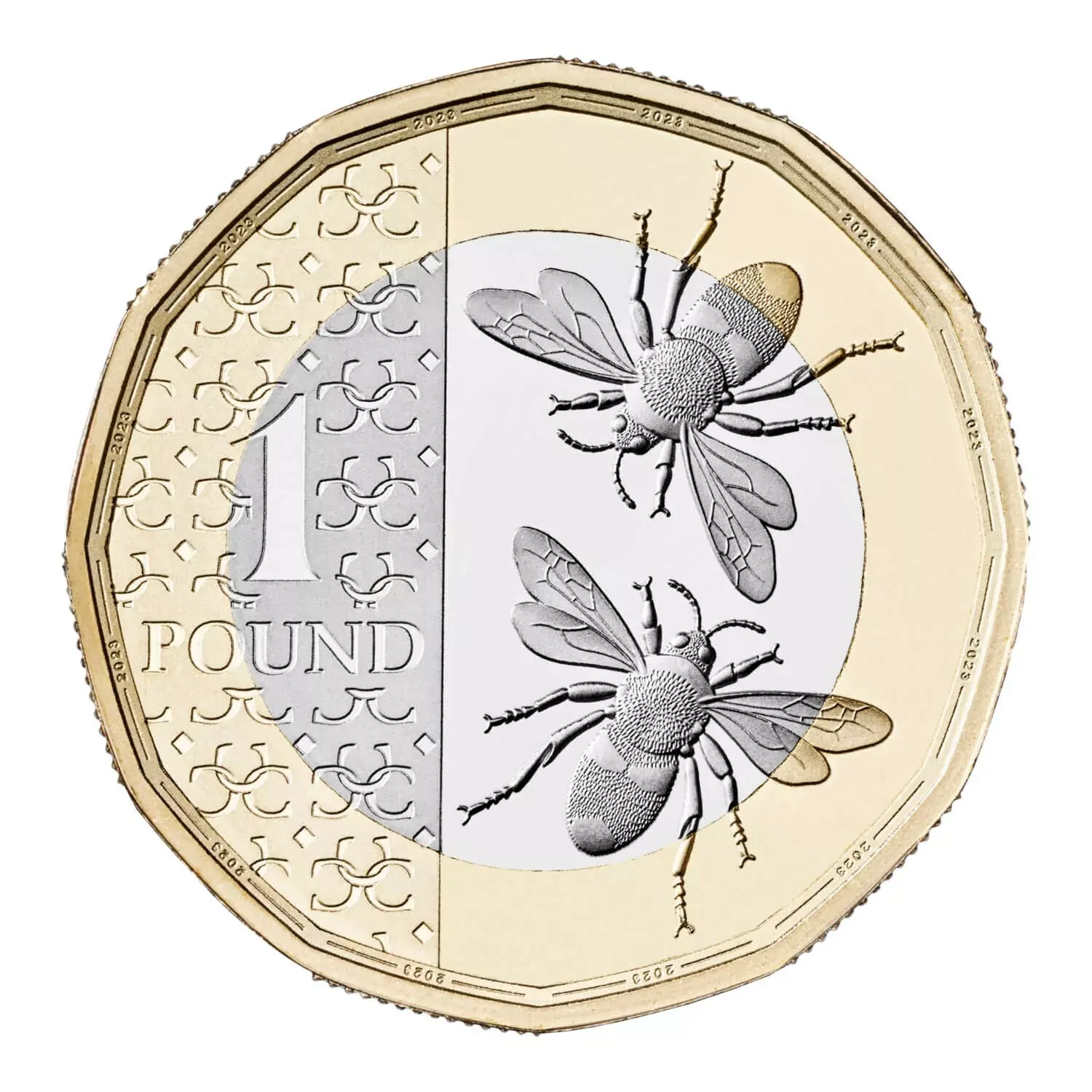 2025 £1 ONE POUND honeybee  RARE LOW MINTAGE KING CHARLES UNC BEES COIN FROM A S