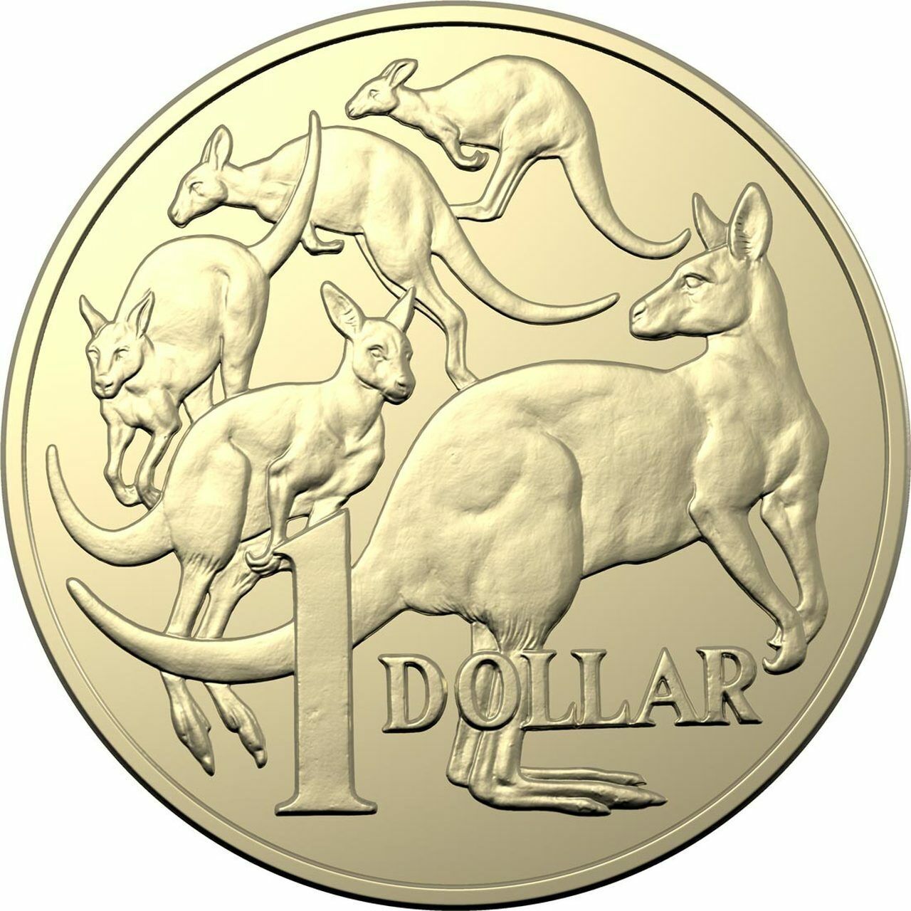 2019 $1 JC Five Kangaroos design Lightly Circulated (2.1m Mintage)