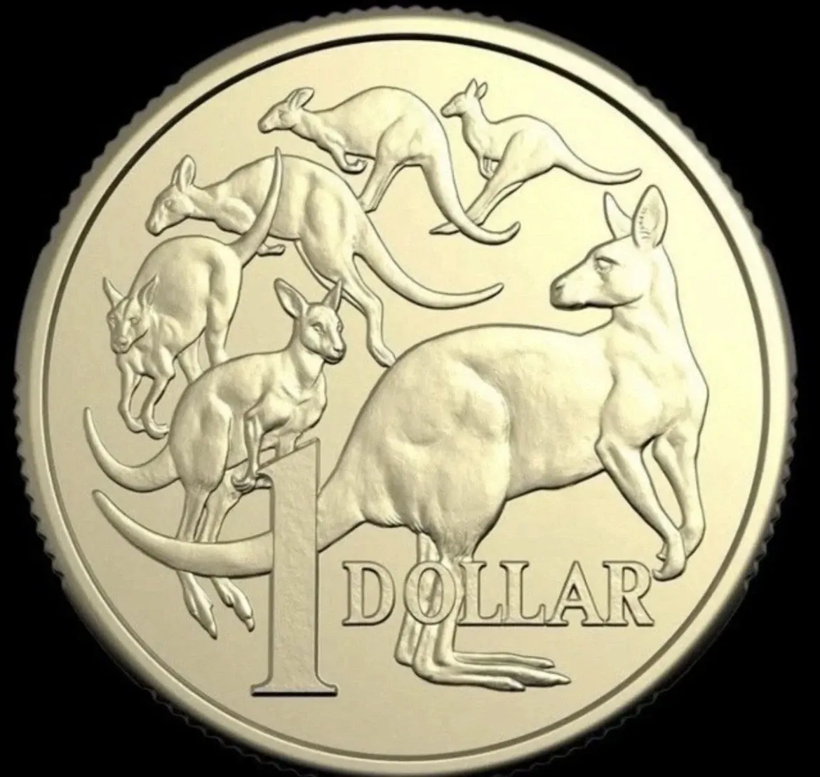 2026 $1 Coin Mob Of 6 Roos Unc 2 x 2 flip from ram bag