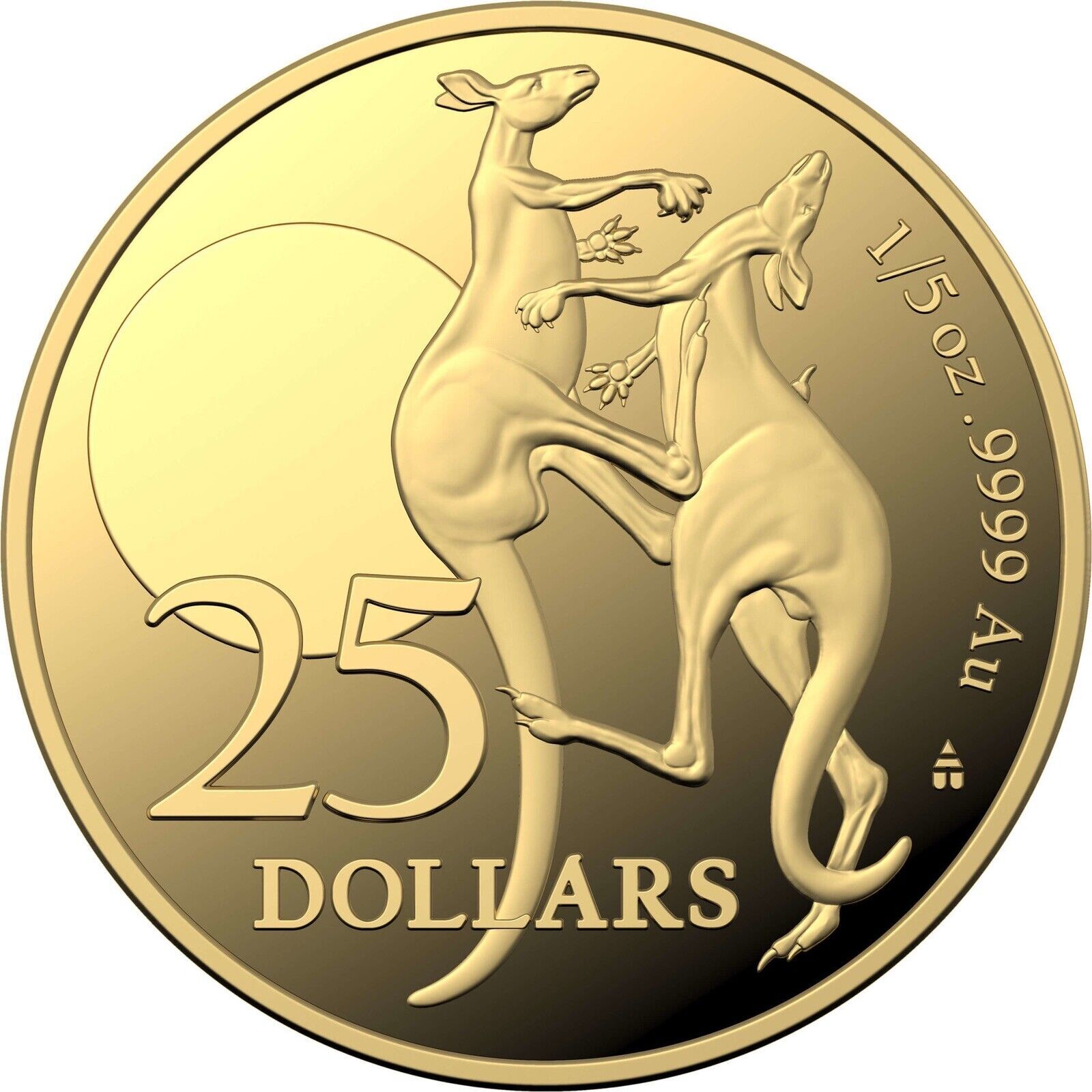 2023 $25 1/5oz Gold Proof Coin - Kangaroo - Fighting Spirit